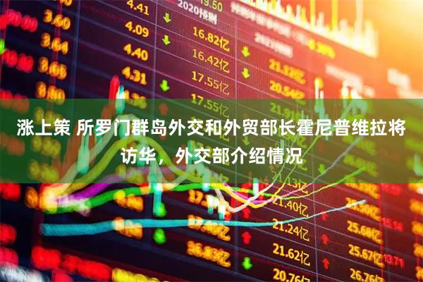 涨上策 所罗门群岛外交和外贸部长霍尼普维拉将访华，外交部介绍情况